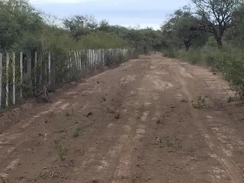 Campo 94 Ha Ganadero En Venta En Villa De Soto