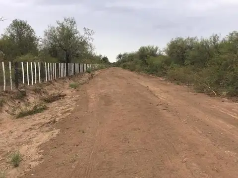 Campo 94 ha en venta Villa de Soto