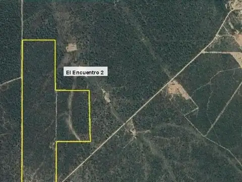 Campo 94 Ha Ganadero En Venta En Villa De Soto