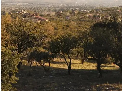 Terreno en Venta de 5303,0 m2