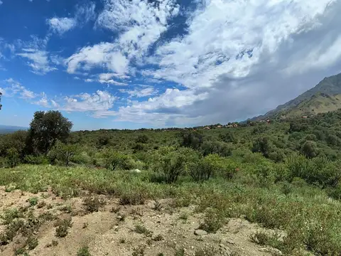 ULTIMOS LOTES EN VENTA! IDEAL INVERSORES! Parque los nogales