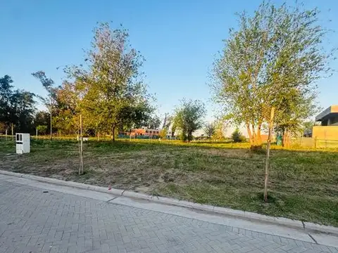VENTA DE LOTE EN NUEVO MALAGUEÑO
