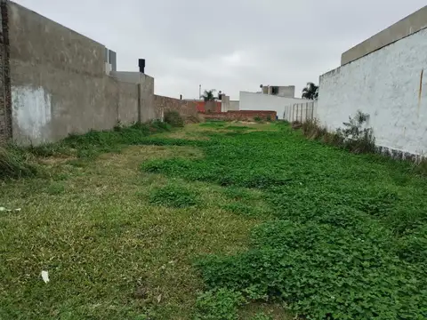 Pedro Centeno al 900