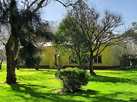 Terreno en Venta 40  mts Fondo