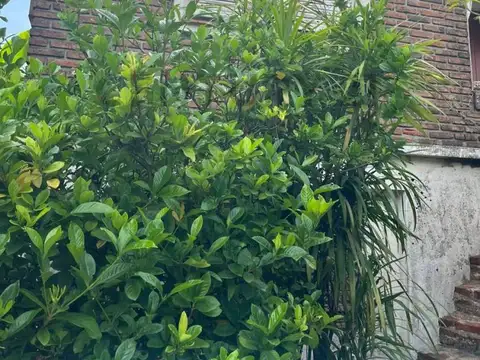 Casa en venta con 3 dormitorios en Rincon de Milberg