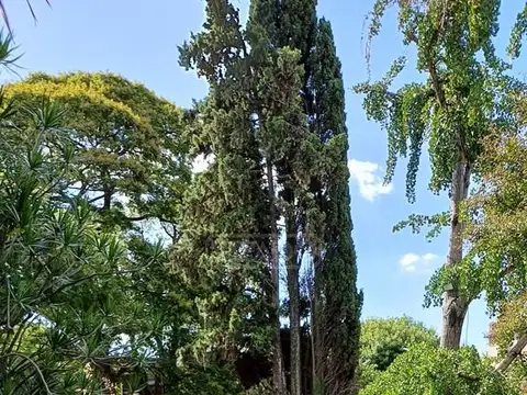 Casa Chalet  en Venta en Vicente López, G.B.A. Zona Norte, Argentina