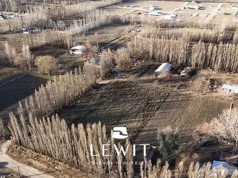 Terreno en Venta en Plottier, USD 125.000