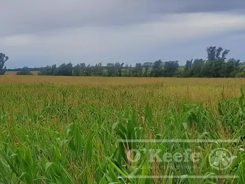 Campo en Venta de 76 has en Baradero