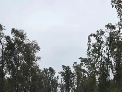 Terreno en Venta 21  mts Fondo
