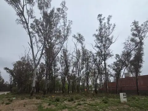 Terreno en Venta 21  mts Fondo
