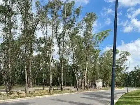 Nuevo Malagueño