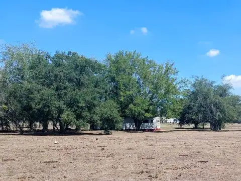 502 y 202