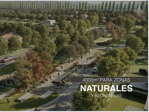OLAVARRIA Y TERRADA