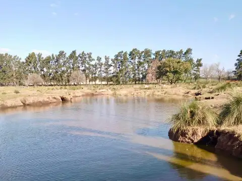 Terreno en Venta 136  mts Fondo