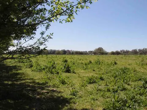 Terreno en Venta en Vicente Casares, USD 2.300.000
