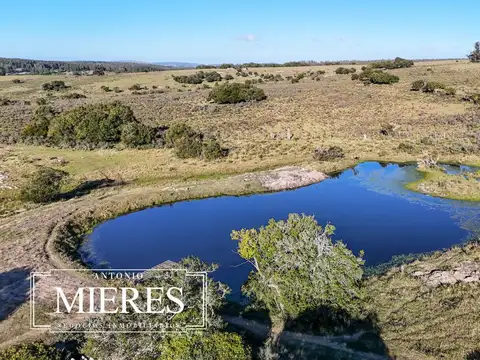 Campo de 78ha con arroyo y casa principal