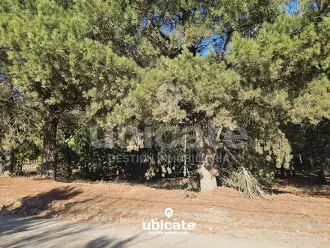 Terreno Único en Dina Huapi