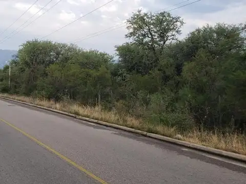 7 Hectáreas en venta sobre Ruta N°28 Carpinteria San Luis