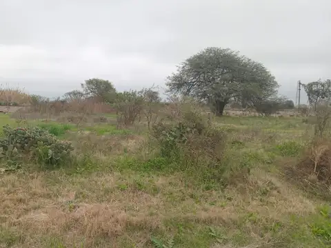 Terreno en Venta de 478,0 m2
