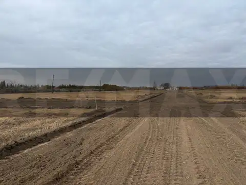 Terreno en Venta en General Roca, USD 15.000