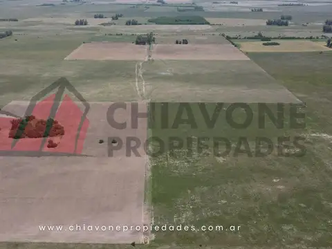Campo en Venta, 118 ha c/mejoras. Plomer, Gral Las Heras