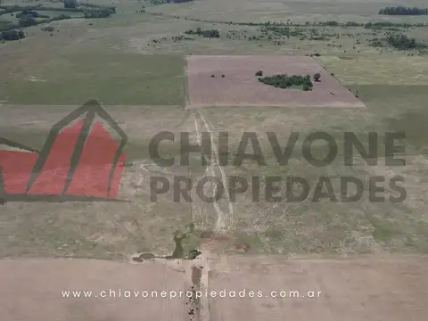 Campo en Venta Agrícola