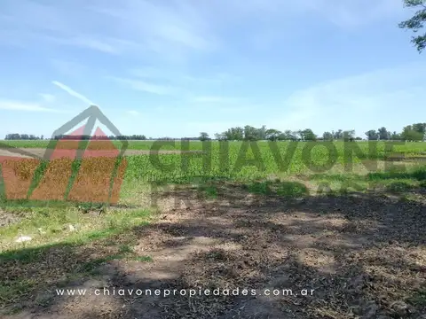 Campo en Venta Ganadero