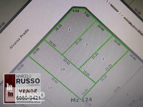 Pedro Diaz 696