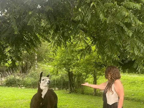 Terrenos en VERTIENTES, VAQUEROS