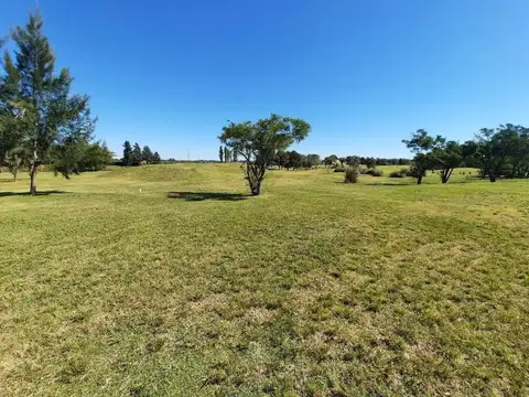 Terreno en Venta 50  mts Fondo