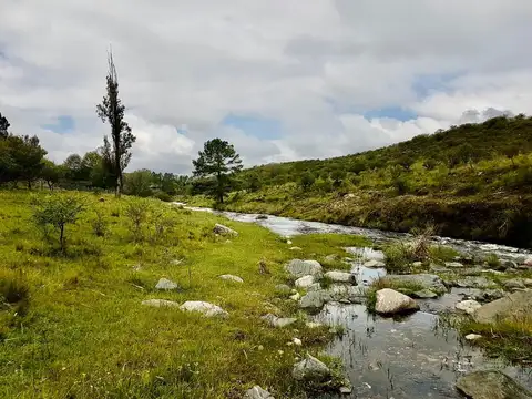 VENTA DE CAMPO  17 HECTAREAS EN POTRERO DE GARAY