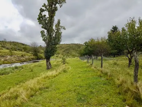 VENTA DE CAMPO  17 HECTAREAS EN POTRERO DE GARAY