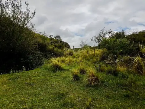 VENTA DE CAMPO  17 HECTAREAS EN POTRERO DE GARAY