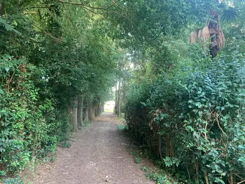 Terreno en Venta en Abasto, USD 400.000