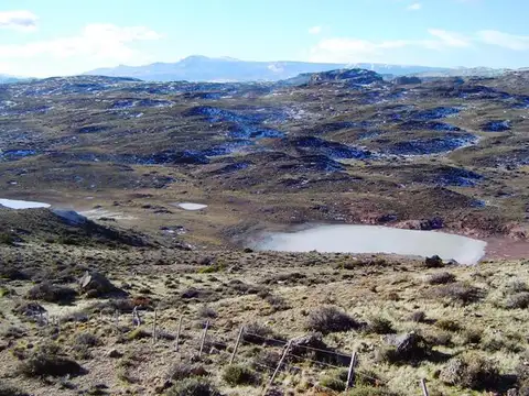 Increíble Estancia con costa de 2 lagos, productivo, recreativo, pesca...