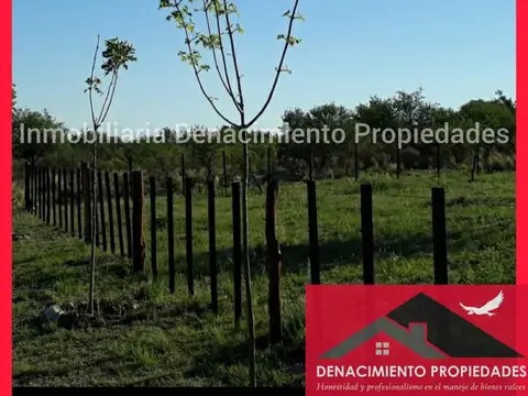 SE VENDE TERRENO EN PANAHOLMA