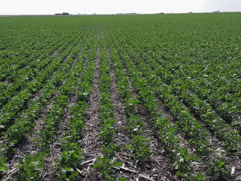 AGRÍCOLAS COMPLETAS