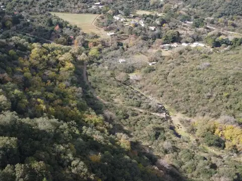 Colanchanga 100