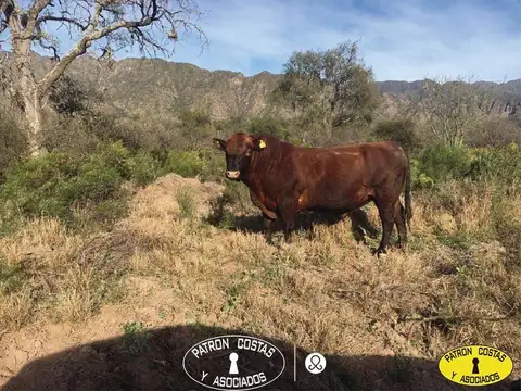 Venta Campo La Rioja