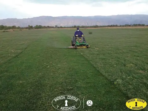 Venta Campo La Rioja