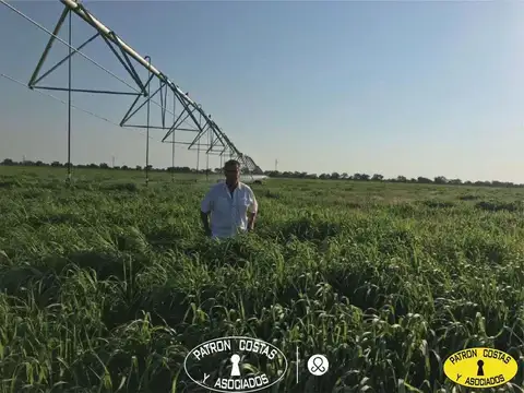 Venta Campo La Rioja