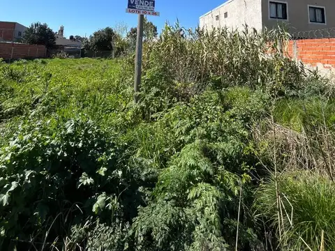 Oportunidad   Lote de 10 x 36, sobre asfalto y con gas Nat