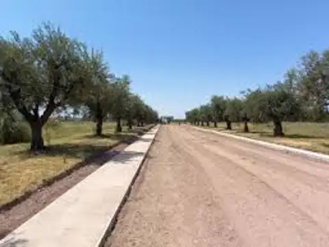 Terreno en Venta de 500,0 m2