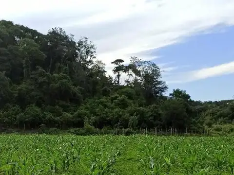 VENTA DE FINCA EN PALMA SOLA 45 HECTAREAS