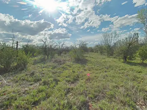 QUINTA EN VENTA SOBRE LA RUTA 7, SANTA ROSA DE 3 ha CON VIVIENDA