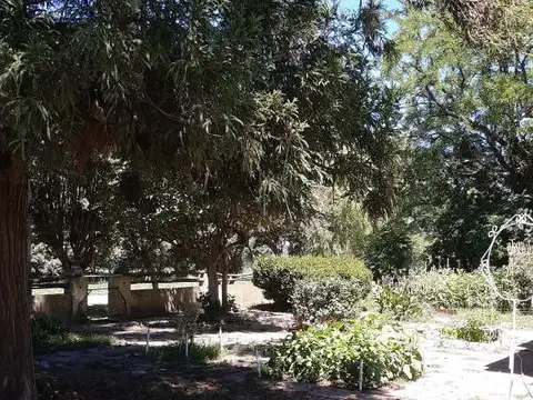 Quinta en Venta 50 años