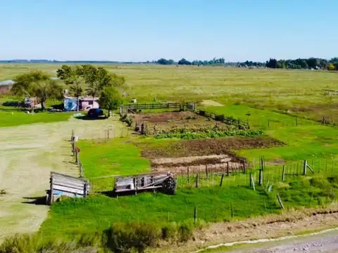 CAMPO EN VENTA, (aproximadamente 27,30 hectareas) PIÑERO