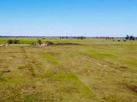 CAMPO EN VENTA, (aproximadamente 27,30 hectareas) PIÑERO