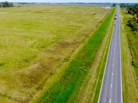 CAMPO EN VENTA, (aproximadamente 27,30 hectareas) PIÑERO