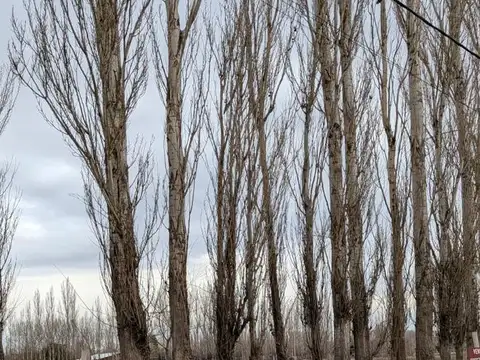 Terreno en Venta de 35000,0 m2